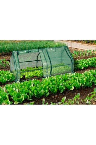 Invernadero de cultivo forzado - 120 x 50 x 50 cm - 0,6 m²