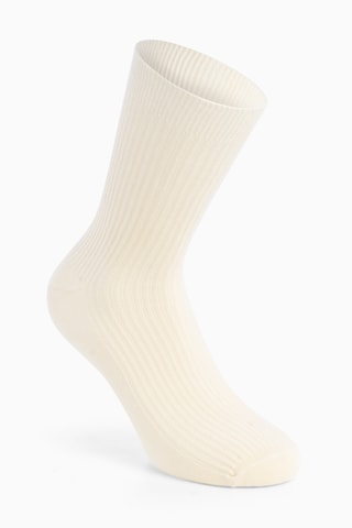 Calcetines - Crudo