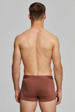 Bóxer - Marrón