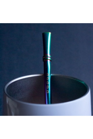 Paille en acier inoxydable - Multicolore