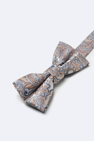 Pajarita de seda - Gris claro