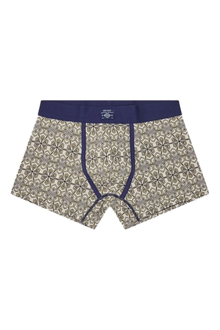 Bóxer de algodón orgánico - Caqui y violeta