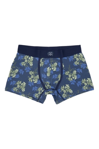 Bóxer - Azul cobalto