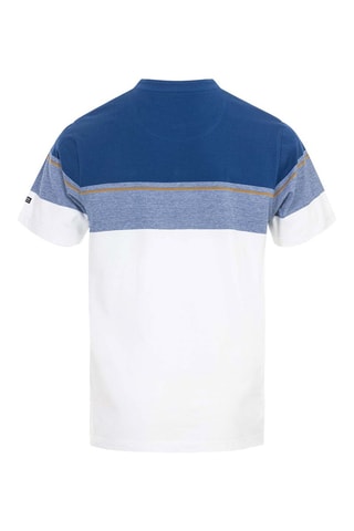 Polo Gordan Branco e azul - Terre de Marins