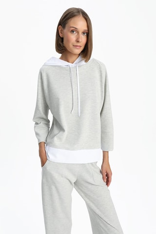 Sweat à capuche - Gris