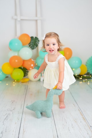 Peluche musicale neonato dinosauro - Dalla nascita