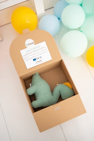 Peluche musicale neonato dinosauro - Dalla nascita