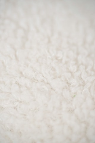 2 cuscini peluche musicali pesci Ocean - Bianco