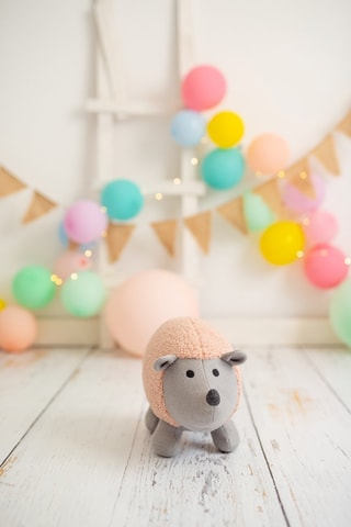 Peluche riccio Amigurumis Mini - Dalla nascita