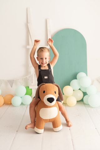 2 peluche cane da montare in pino - Da 18 mesi