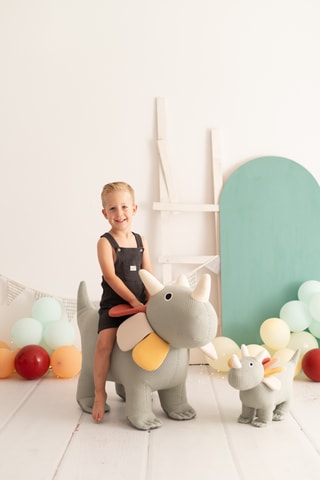 2 peluche dinosauri triceratopi - Da 18 mesi