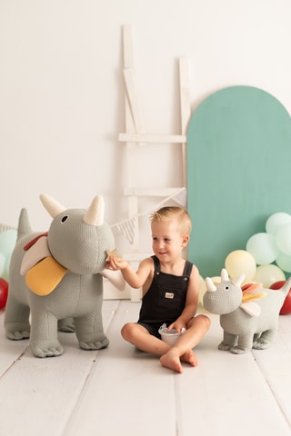 2 peluche dinosauri triceratopi - Da 18 mesi