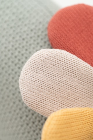 2 peluche dinosauri triceratopi - Da 18 mesi