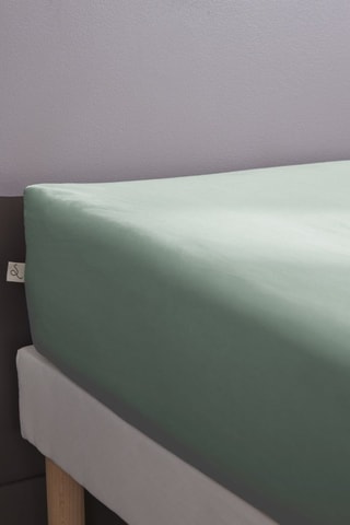 Drap-housse en percale de coton 80 fils/cm² Bally  - Céladon