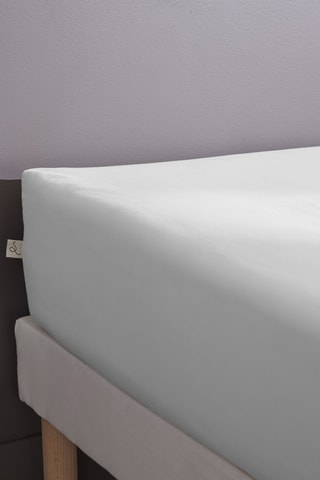Drap-housse en percale de coton 80 fils/cm² Bally  - Blanc