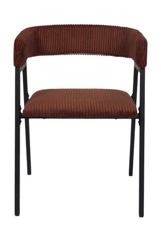 2 Fauteuils Scott - Steenrood Polyester