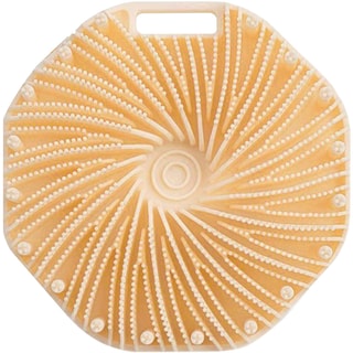 Brosse de bain & douche