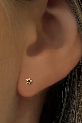 Puces - Or jaune et rubis