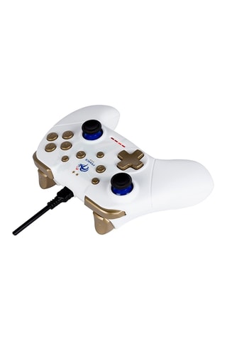 Gamepad FFF pour Switch Filaire