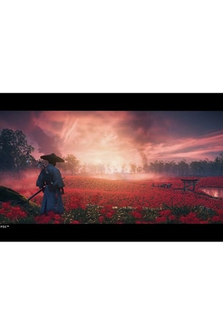 Ghost of Tsushima 
PS4