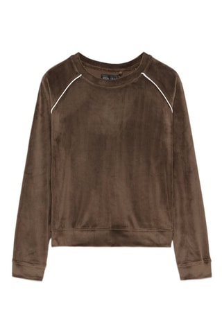 Sudadera de terciopelo - Marrón
