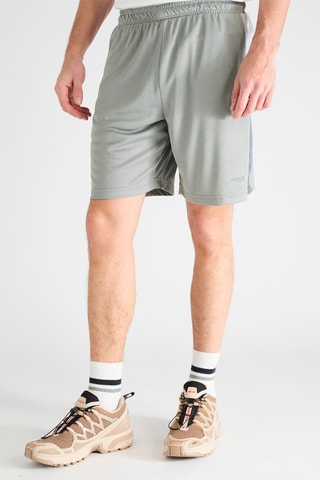 Bermudas - Gris claro