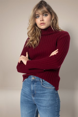Maglia Craigton 100% cashmere, 2 fili - Collo dolcevita. - Bordeaux