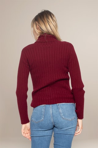 Maglia Craigton 100% cashmere, 2 fili - Collo dolcevita. - Bordeaux