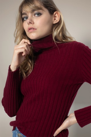 Maglia Craigton 100% cashmere, 2 fili - Collo dolcevita. - Bordeaux