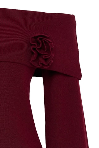 Camisola regular - Bordô