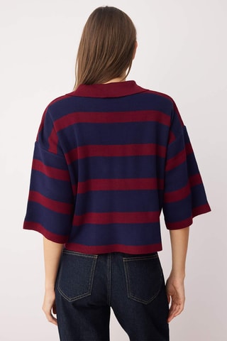 Camisola regular - Bordô e azul