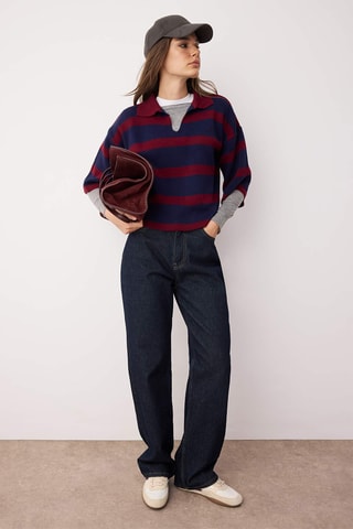 Camisola regular - Bordô e azul