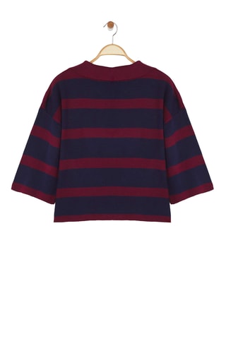 Camisola regular - Bordô e azul