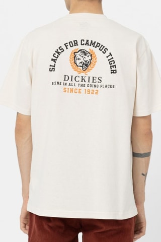 T-shirt Westmoreland - Ecru - Dickies