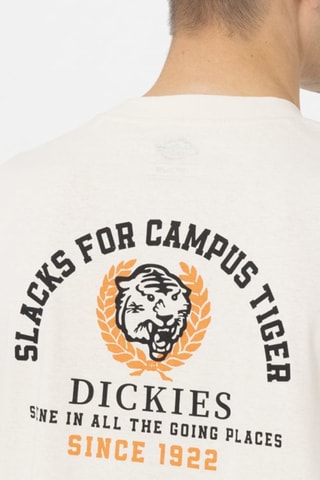 T-shirt Westmoreland - Ecru - Dickies