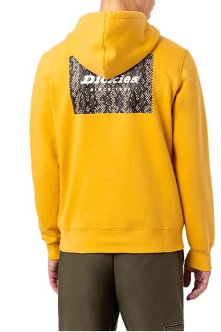 Sweat à capuche Camden - Jaune et marron - Dickies