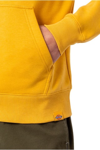 Sweat à capuche Camden - Jaune et marron - Dickies