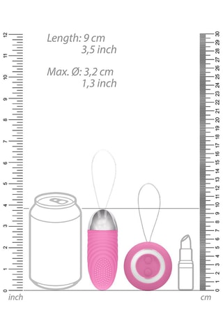 Oeuf vibrant télécommandé Ethan Rose