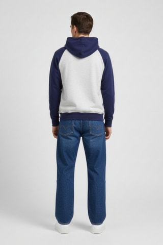 Sweat à capuche - Gris