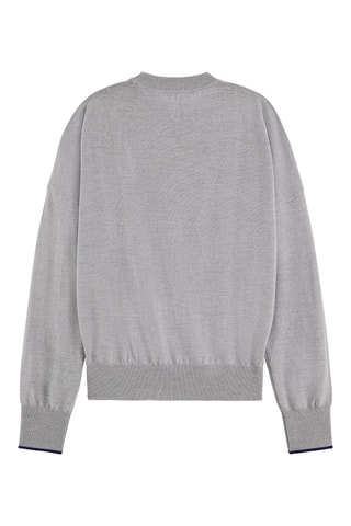 Merinoswollen Trui Gemêleerd Lichtgrijs