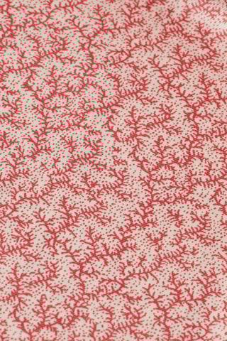 Blouson réversible - Corail