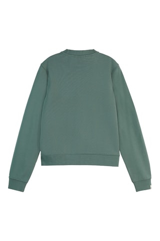 Sweater Regular - Groen