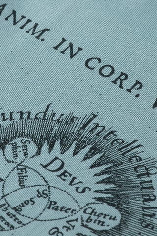 T-shirt - Lichtblauw