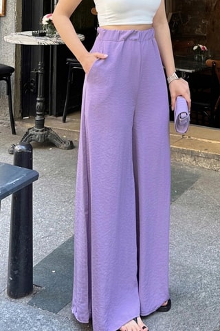 Broek Hoge Taille - Paars