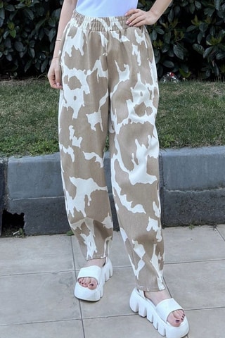 Broek Hoge Taille - Beige en Bruin