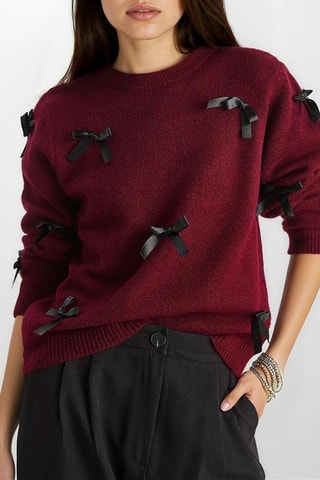 Trui - Bordeauxrood en Zwart