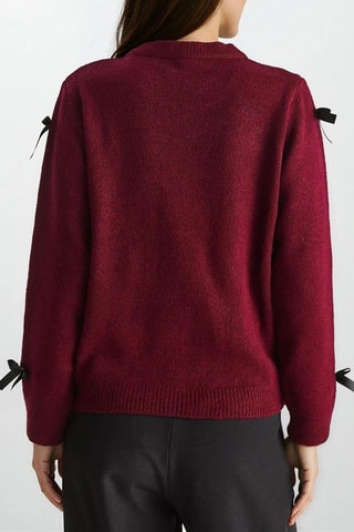 Trui - Bordeauxrood en Zwart