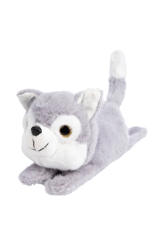 Peluche Husky