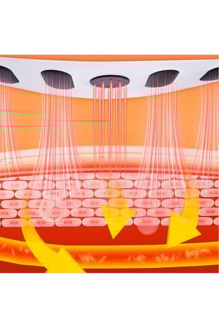 Ceinture de massage et d'électrostimulation - Blanc