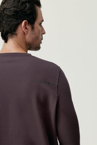  Sweat Erie - Castanho